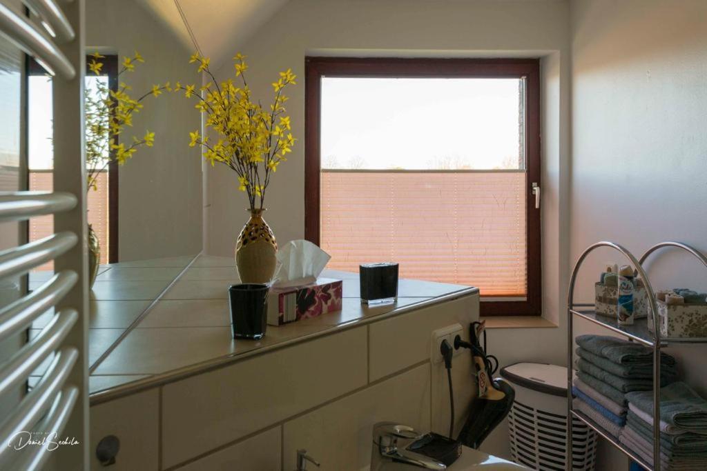 Apartment Grosse Zum Wohlfuehlen Stelle